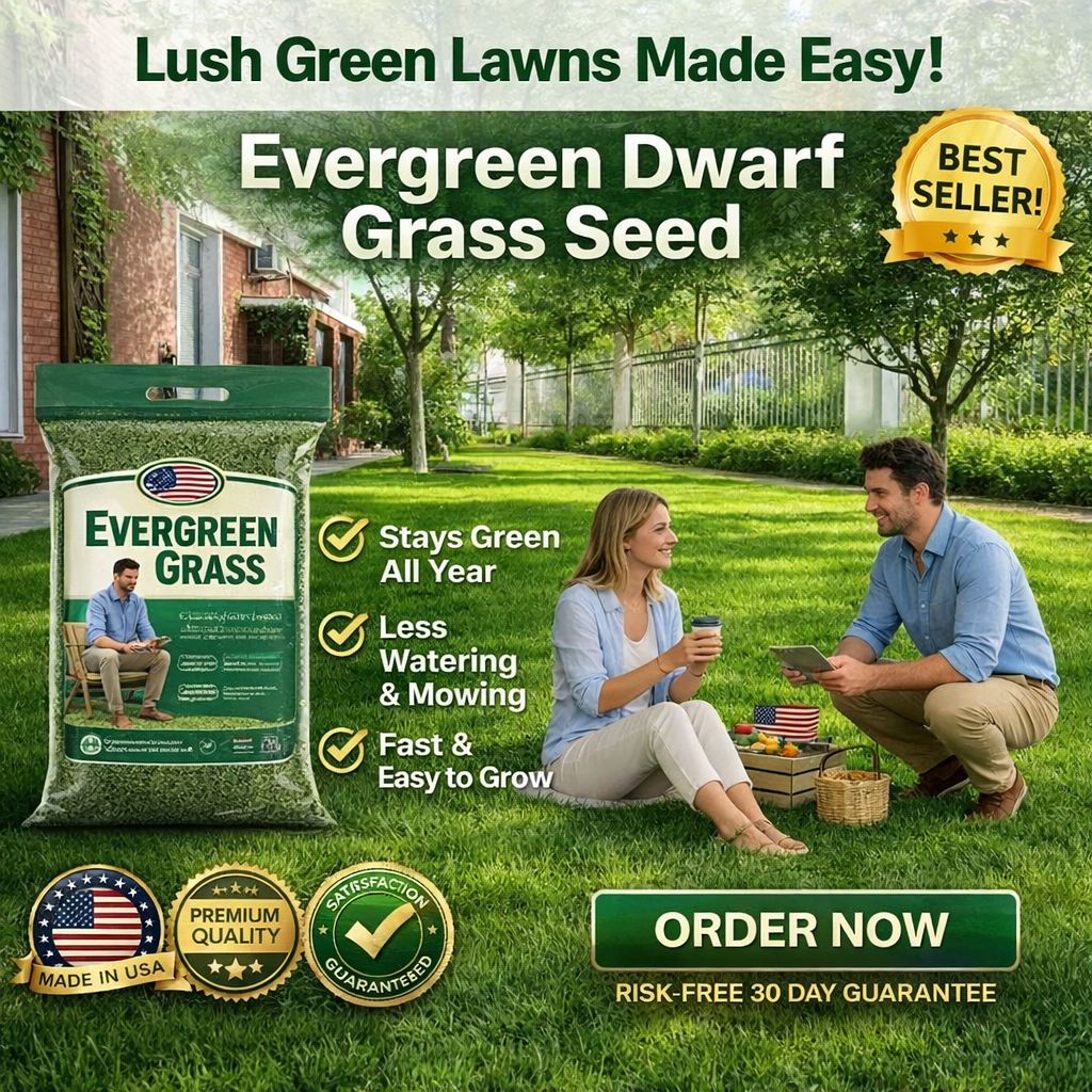 /69d255f03274ed0009adde42/2026/04/16/product-img-69e11e14373c02bd69cc0904.png