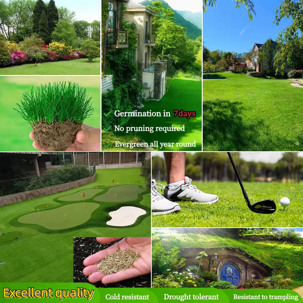 /69d255f03274ed0009adde42/2026/04/16/product-img-69e11e14373c02bd69cc0908.png